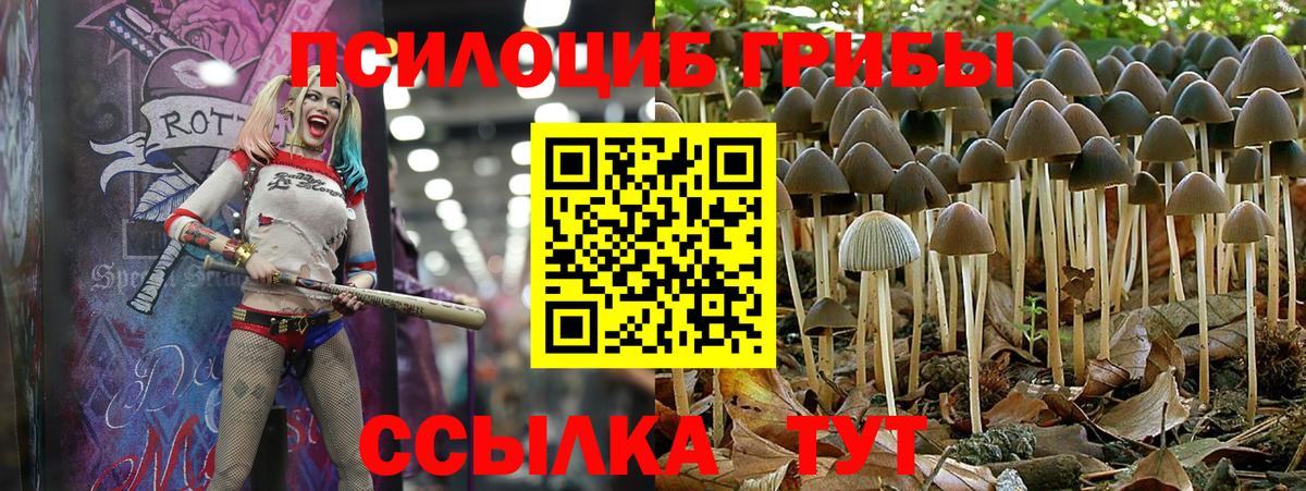 Кисловодск  Псилоцибиновые грибы мухоморы  Вход с VPN 